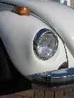 Beetle June 07